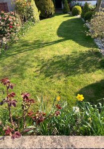 Gardening Services in Epsom