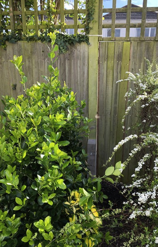 gardening surrey