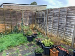 5_tips _for_wooden_fence 