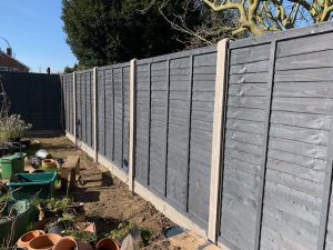 after_painting_wooden_fence
