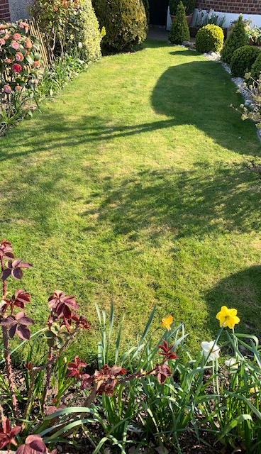 gardening_suton gardening_suton