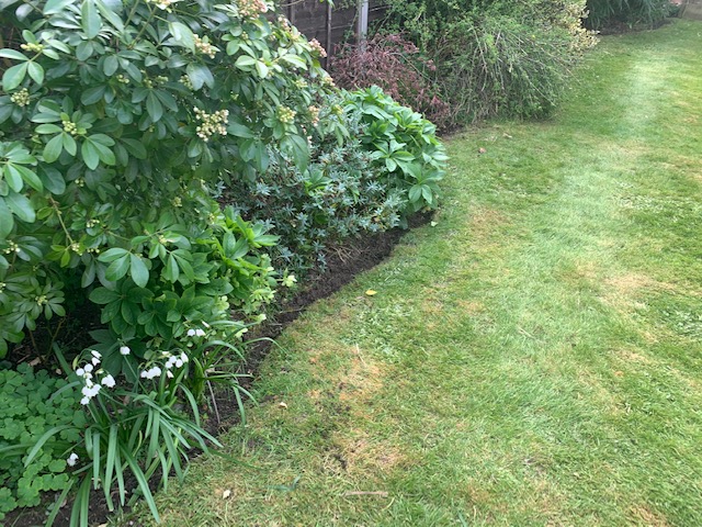 gardening_services_epsom_fencing gardening_services_epsom_fencing