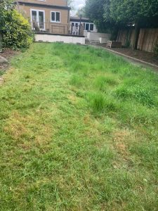 grass_cutting_improvement