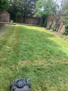 tips_grass_cutting_improvement