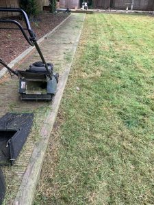 best_tips_how_improve_your_lawn_after_4_month_away