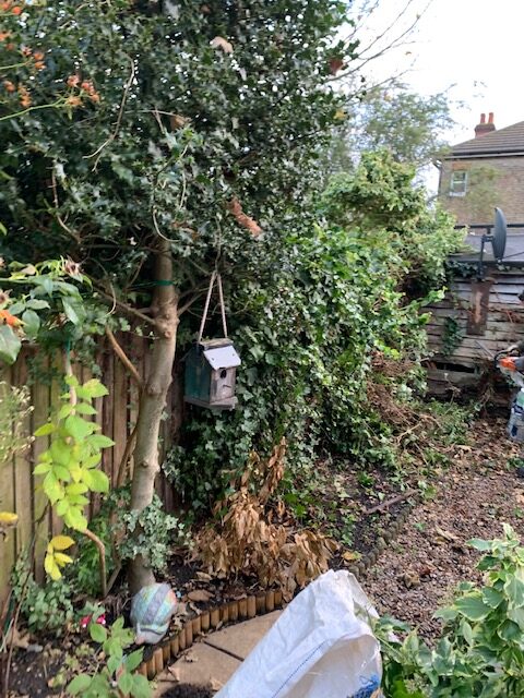 fencing_contractor_in_surbitom_epsom_fencing_lap_panel_concrete_post_before fencing_contractor_in_surbitom_epsom_fencing_lap_panel_concrete_post_before