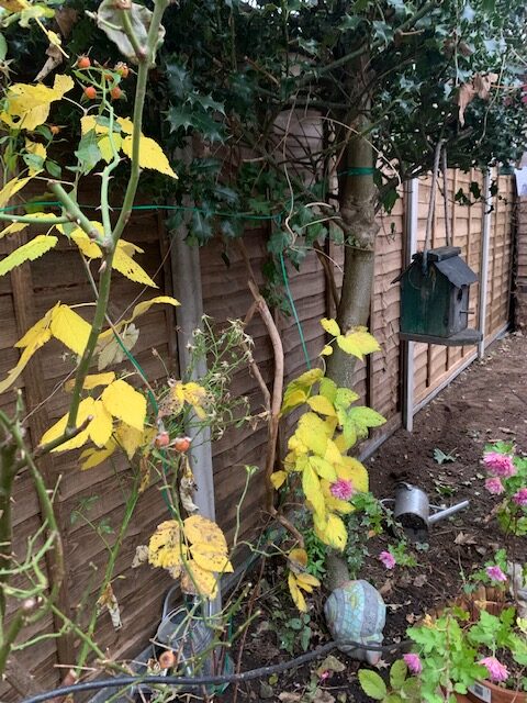 fencing_contractor_in_surbiton_lap_panel_concrete_post fencing_contractor_in_surbiton_lap_panel_concrete_post
