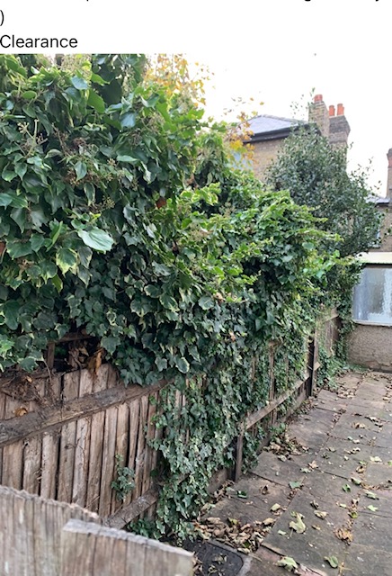 fencing _contractor_in_surbiton_fence_repair_garden_clerance fencing _contractor_in_surbiton_fence_repair_garden_clerance