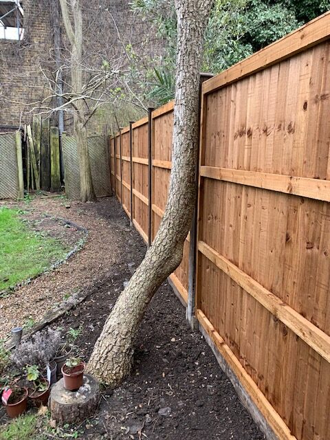 wimbledon_closeboard_panel_epsom_fencing wimbledon_closeboard_panel_epsom_fencing