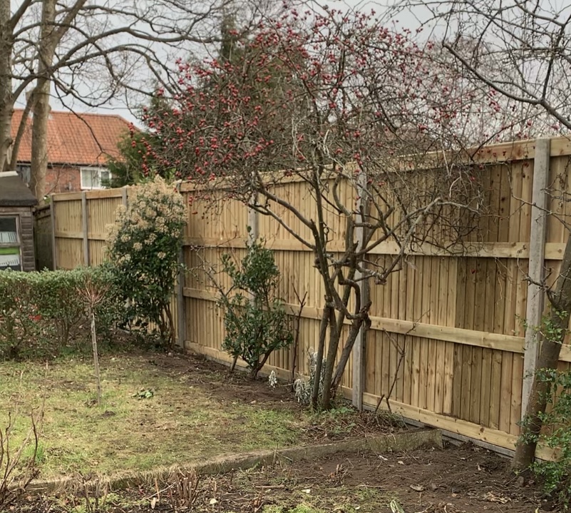 oxshott_fencing_gate_contractor_walton_cobham_feather_edge_garden_fence oxshott_fencing_gate_contractor_walton_cobham_feather_edge_garden_fence